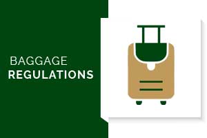 baggage1